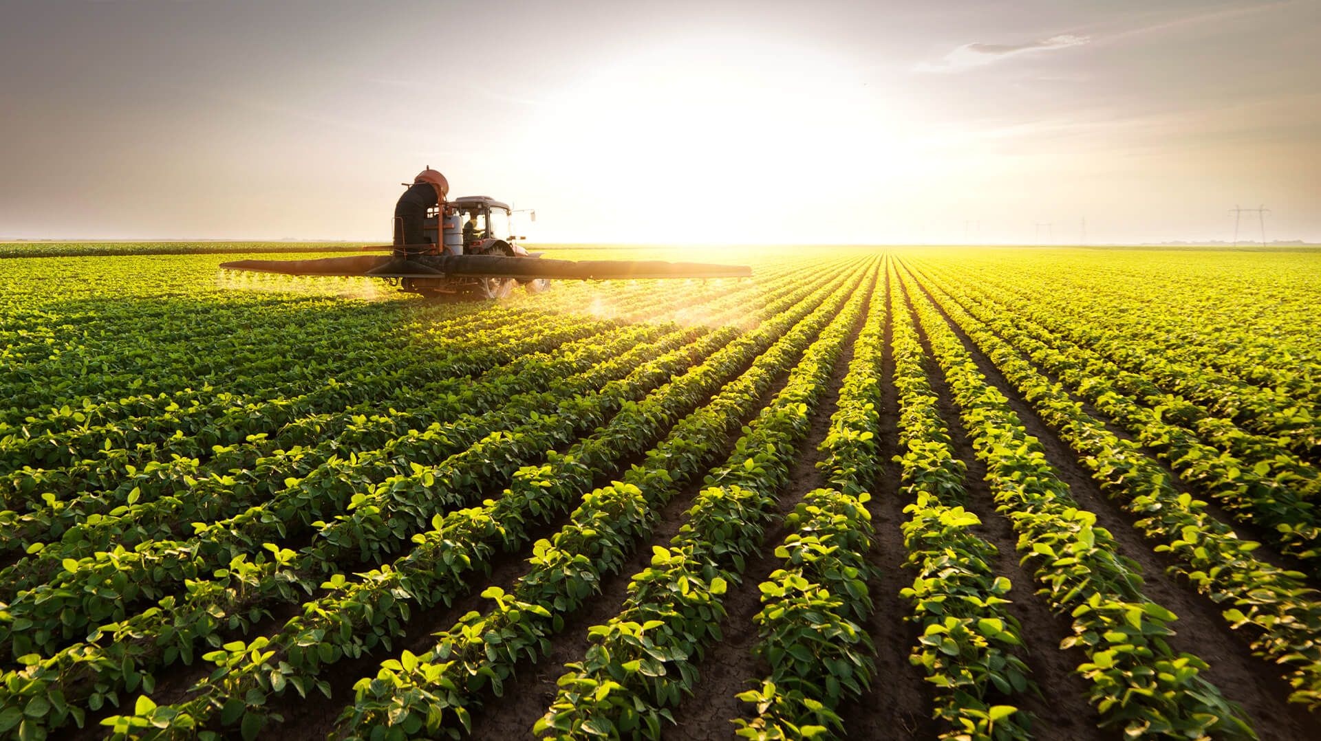 Agro.Co - Marketing for Agribusiness